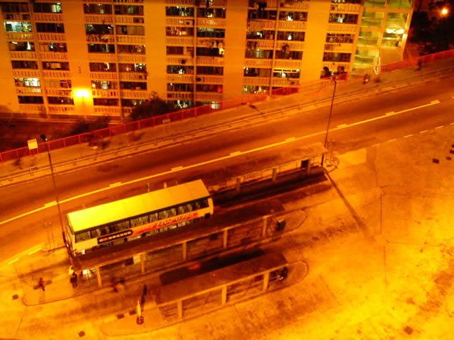 IMAG0005-1.jpg
