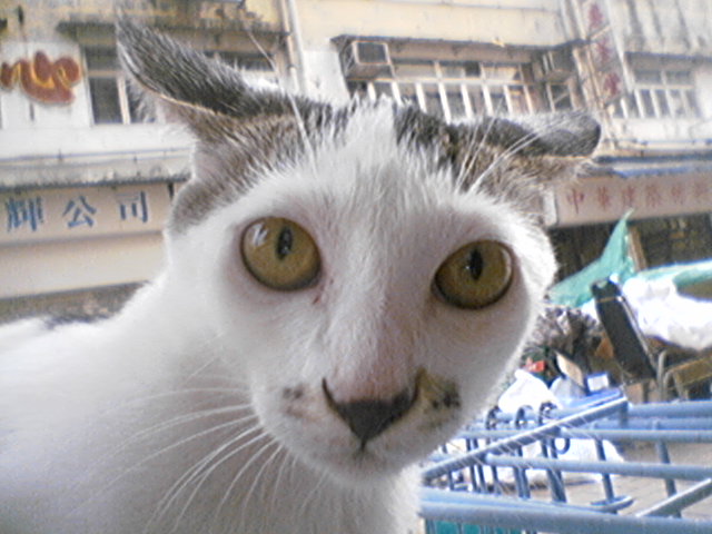 P08-08-06_14.57.jpg