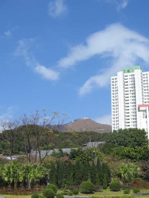 20070206002.jpg
