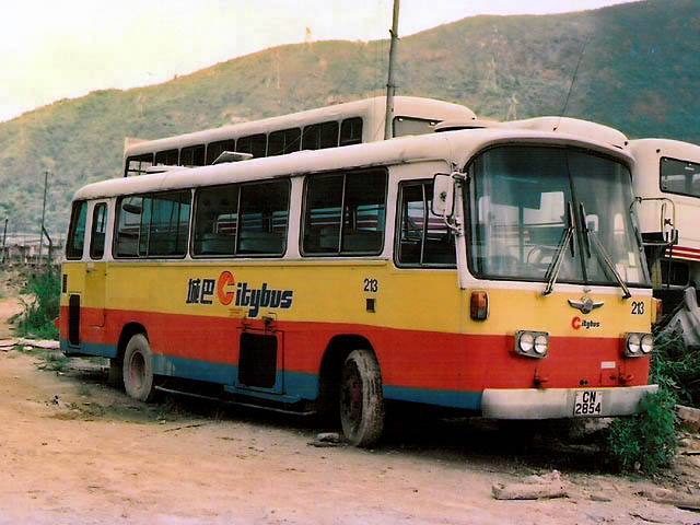 213.jpg