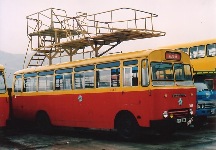 DLS1.jpg