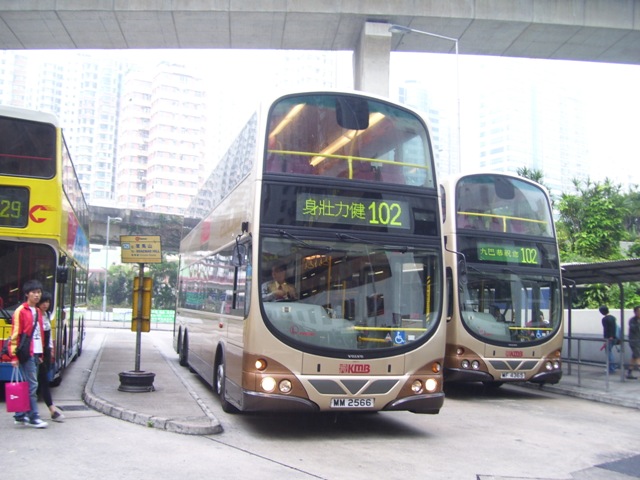 AVBW12, AVBW40-03.JPG