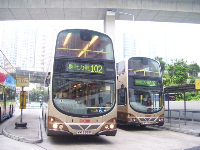 AVBW12, AVBW40-05.JPG
