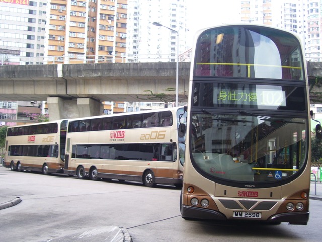 AVBW42-07.JPG