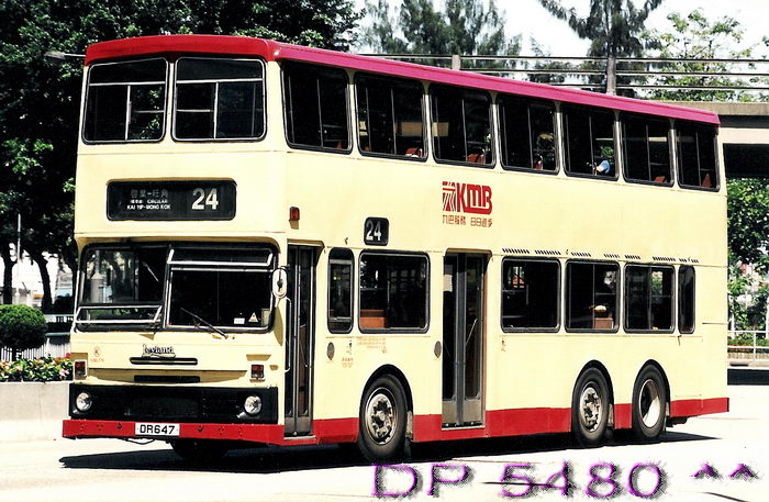DR647@24.jpg
