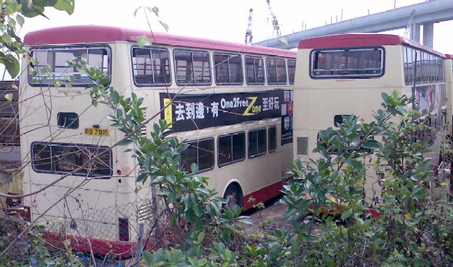 eg7915_ea4329autai.jpg