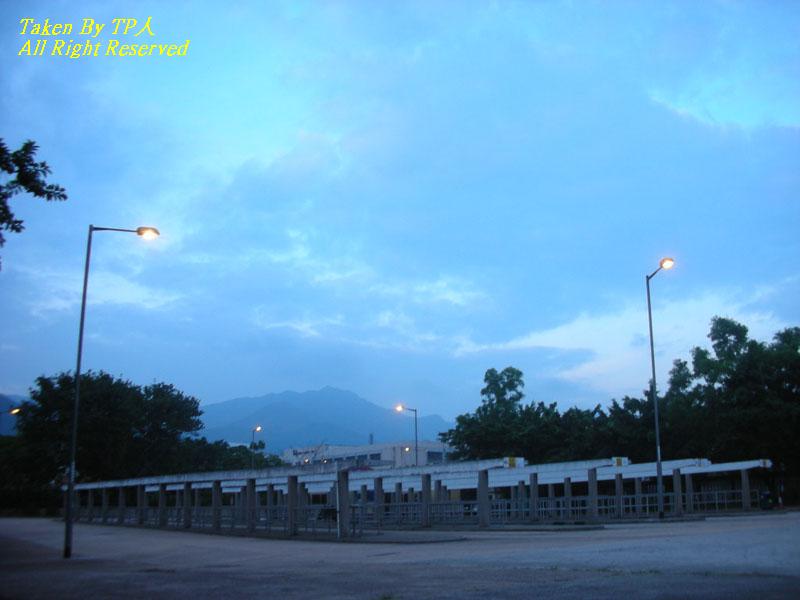 TPIE (back).jpg