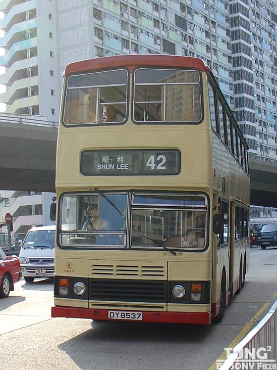42.jpg