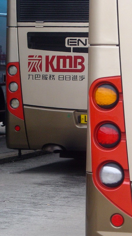 DSC00608.jpg