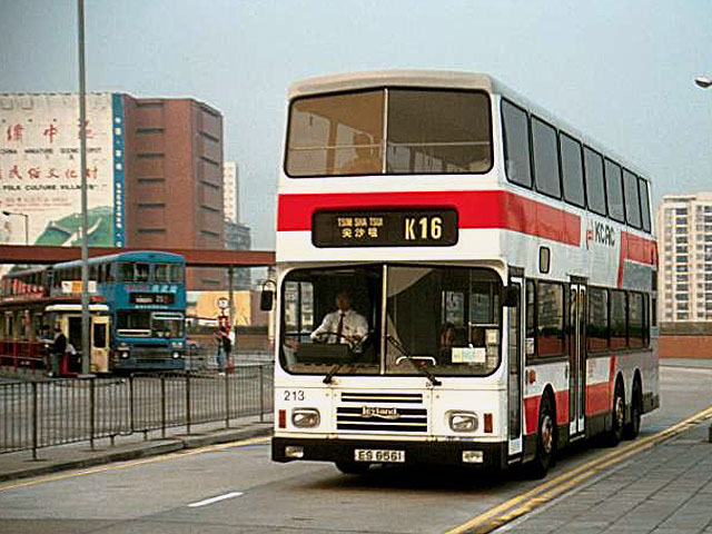 213.jpg