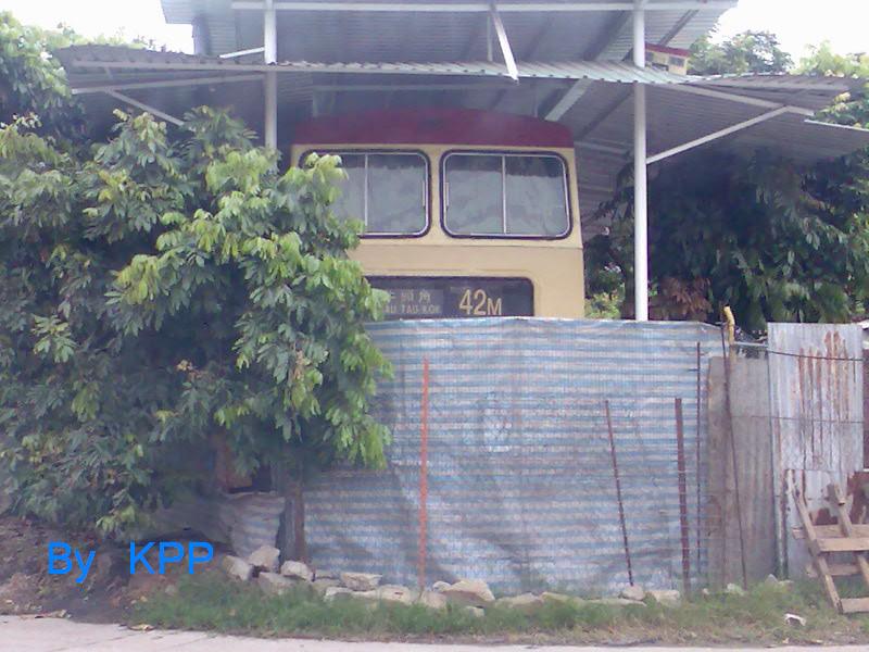 bushomea.jpg