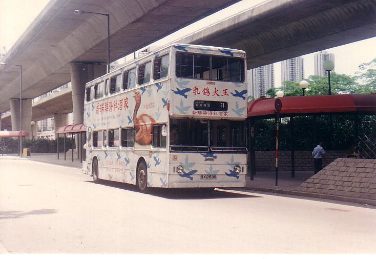 bx2639.JPG