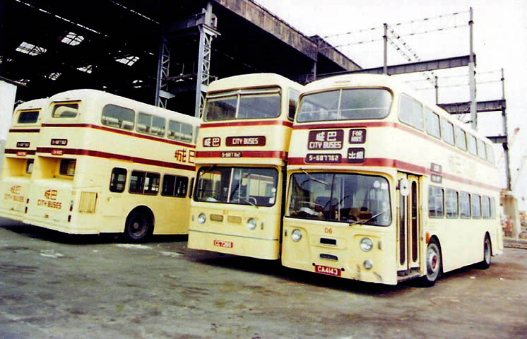 D6.jpg