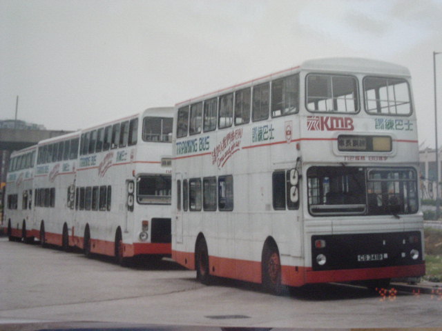 DSC04817.JPG