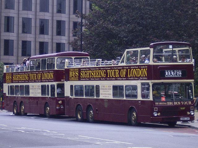 Big Bus ML50.JPG