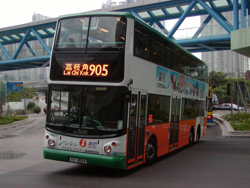 n_5081_4.jpg