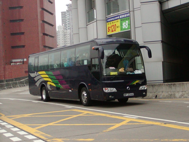 P1010017.jpg