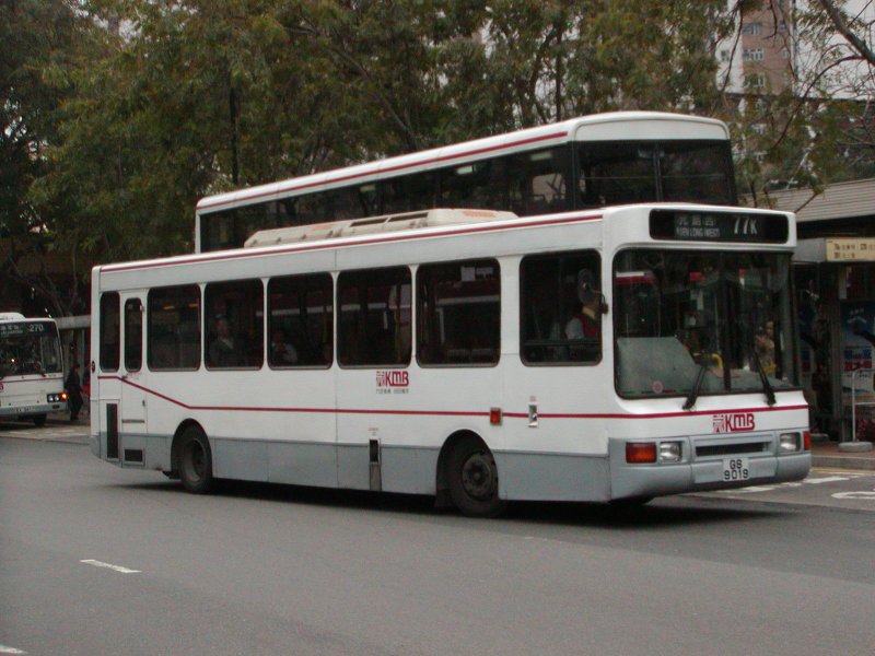 P1010015.jpg