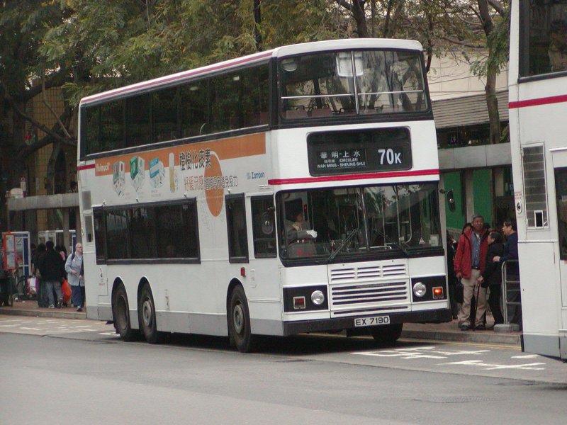 P1010034.jpg