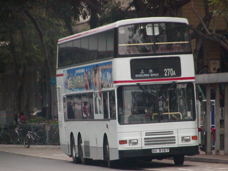 P1010030.jpg