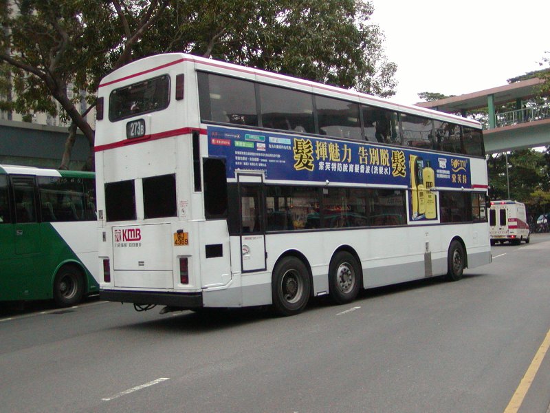 P1010013.jpg