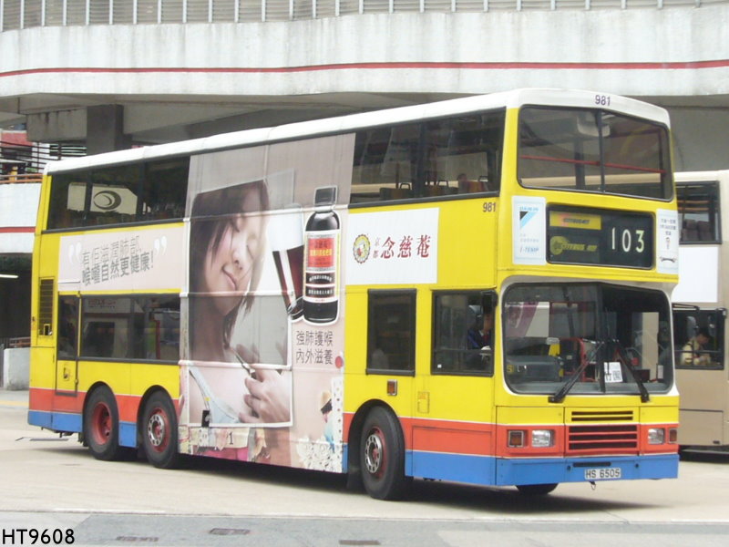 981f.jpg
