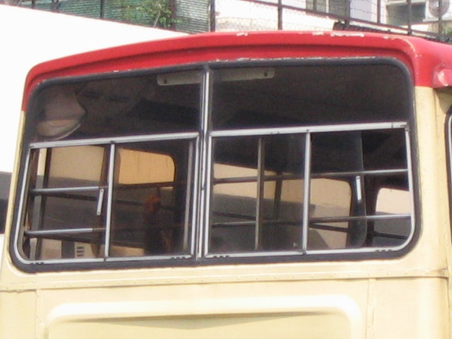 IMG_7841.jpg