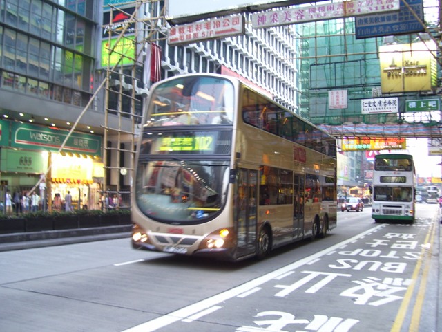 AVBW9-03.JPG