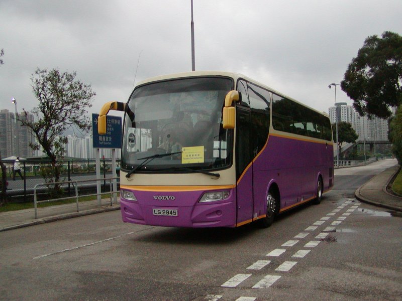 P1010007.jpg