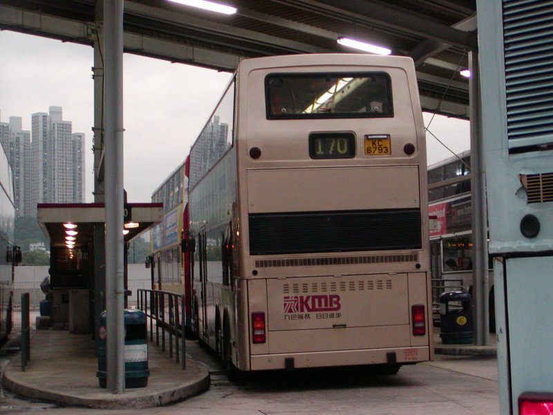 P1010043.jpg