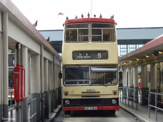 dw7152.jpg