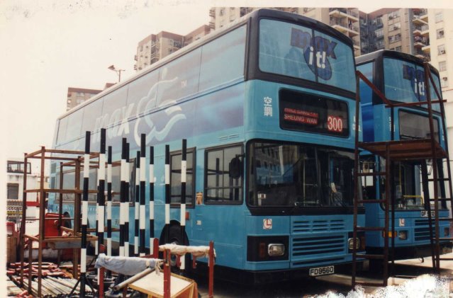 img009.jpg