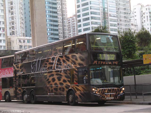 LD316-3.jpg