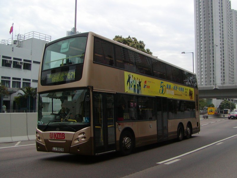 P1010009.jpg