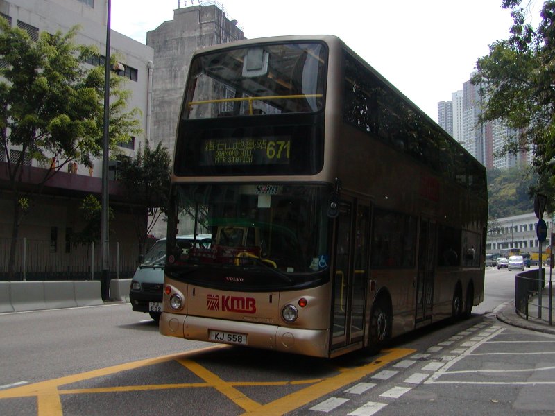 P1010029.jpg