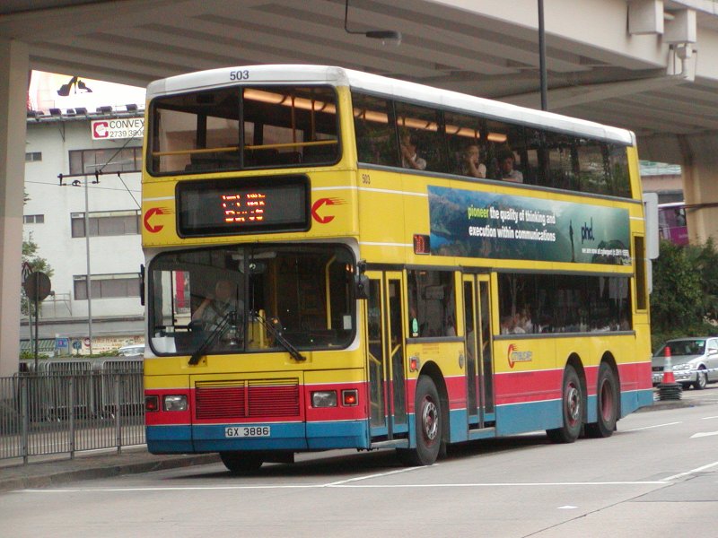 P1010034.jpg