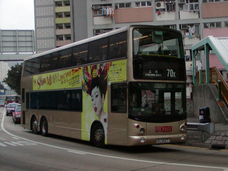 P1010016.jpg