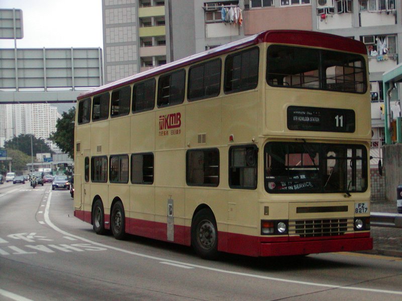 P1010017.jpg