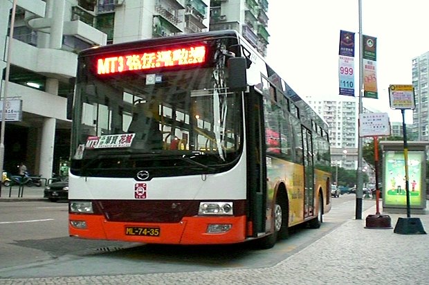 CIMG0462-1.JPG
