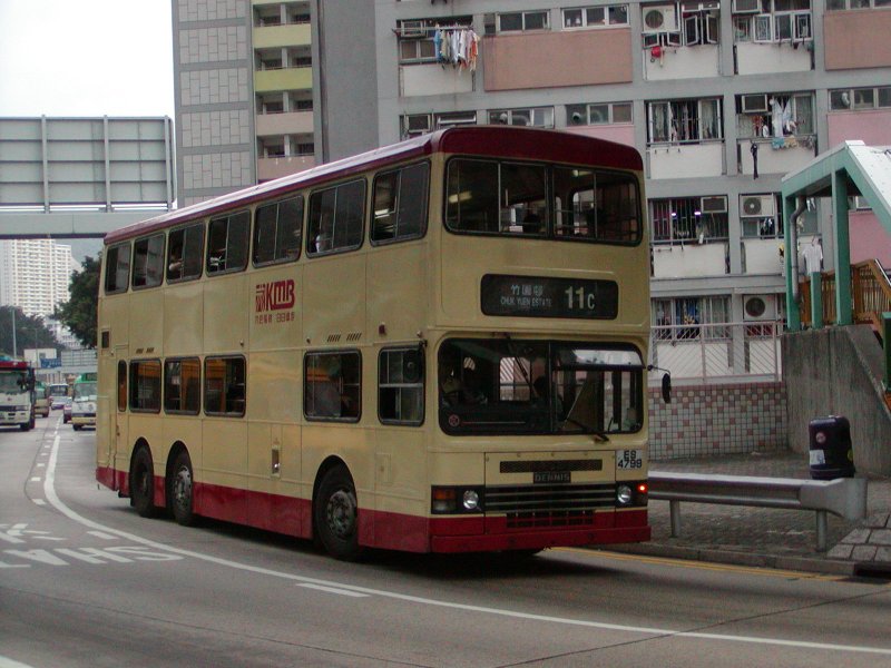P1010011.jpg