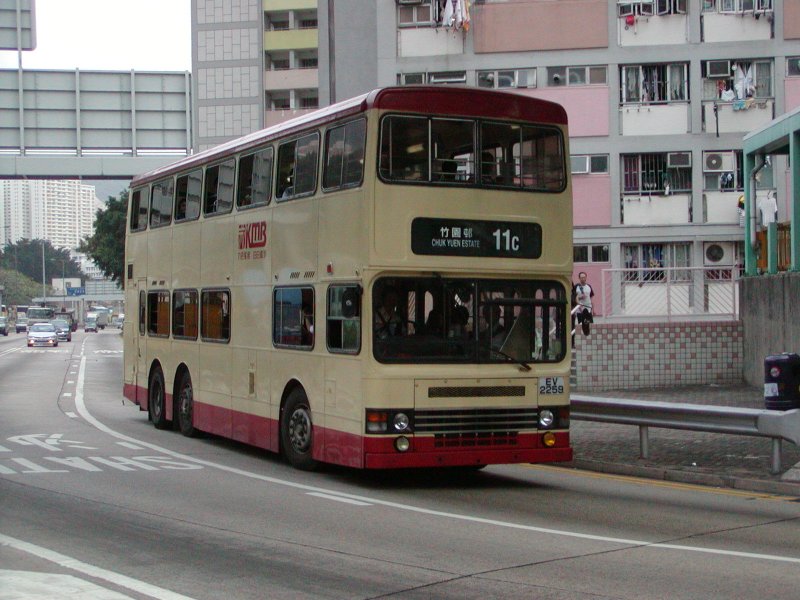 P1010028.jpg