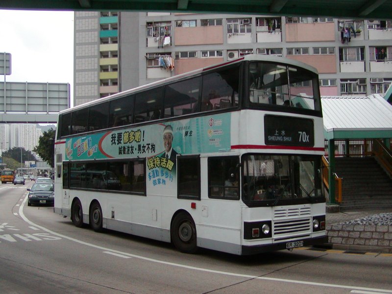 P1010001.jpg