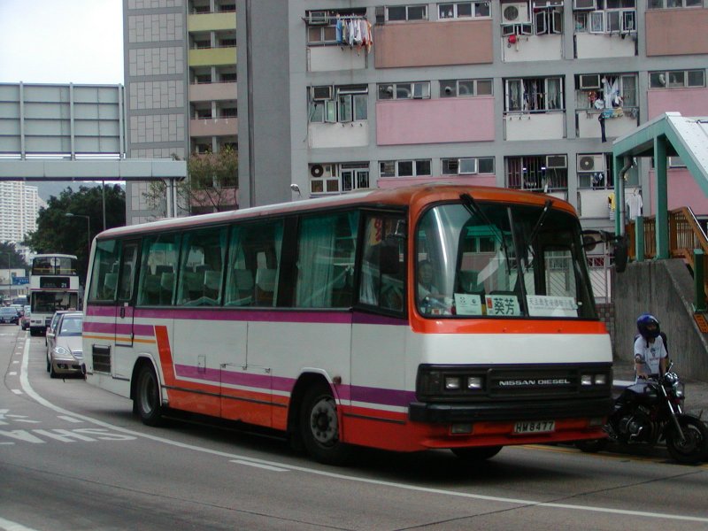 P1010003.jpg