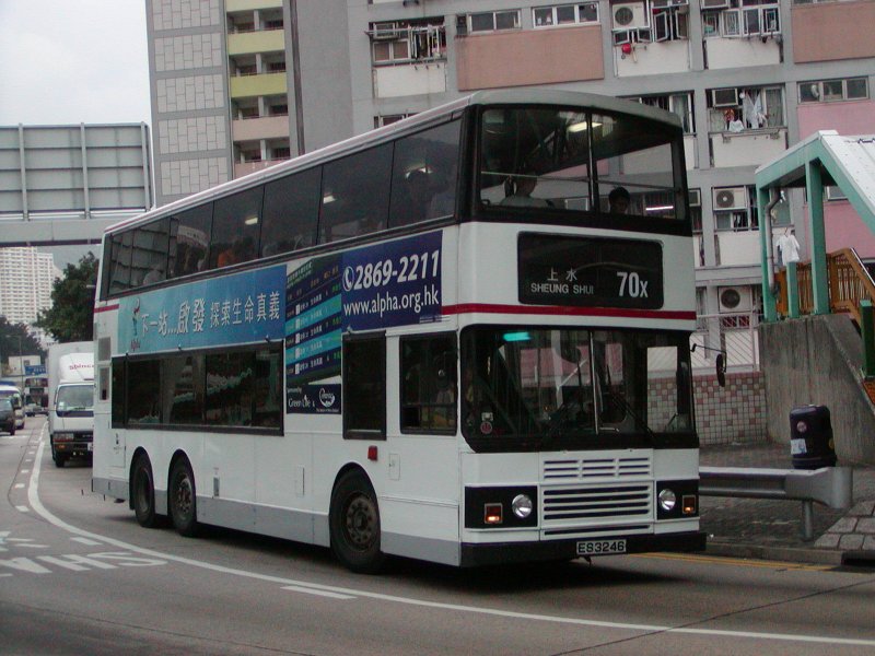 P1010041.jpg