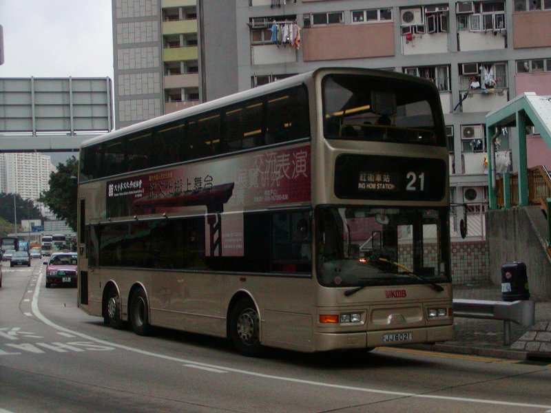 P1010020.jpg