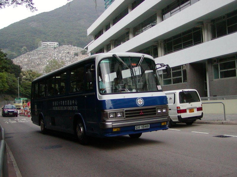 P1010003.jpg