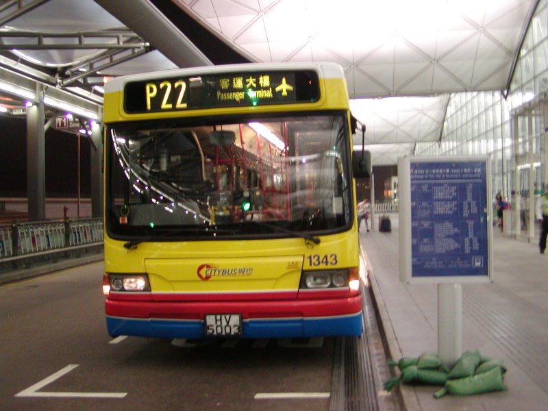 P1010032.jpg
