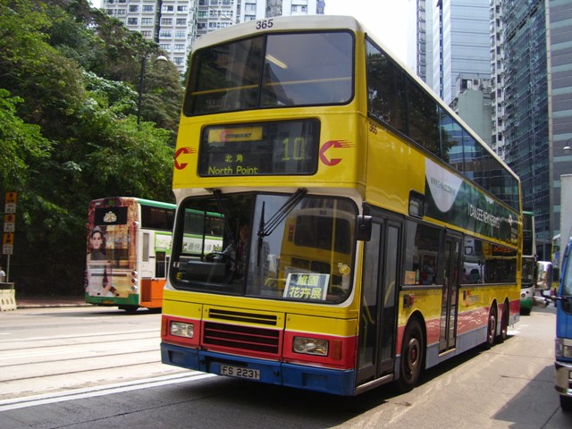 365-03.JPG