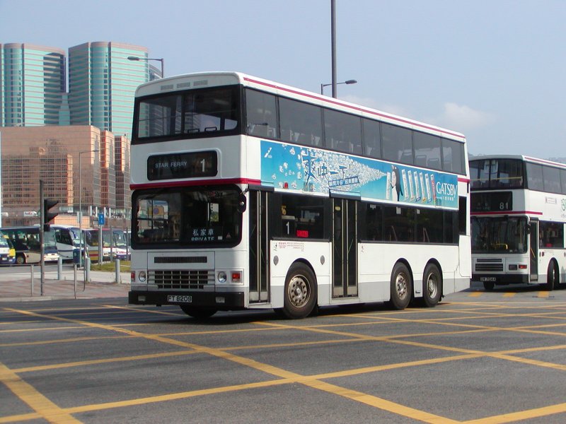 P1010028.jpg