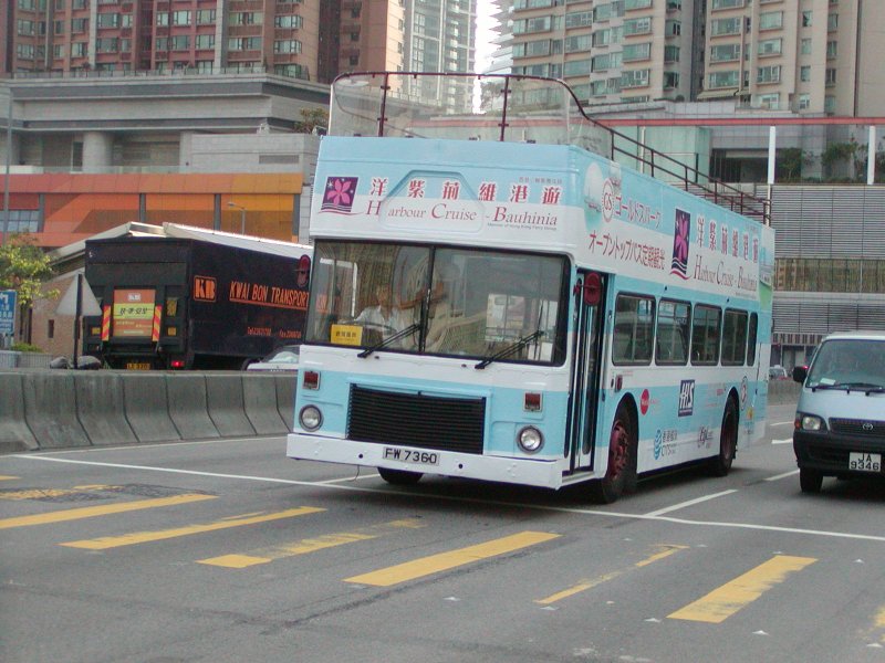 P1010058.jpg